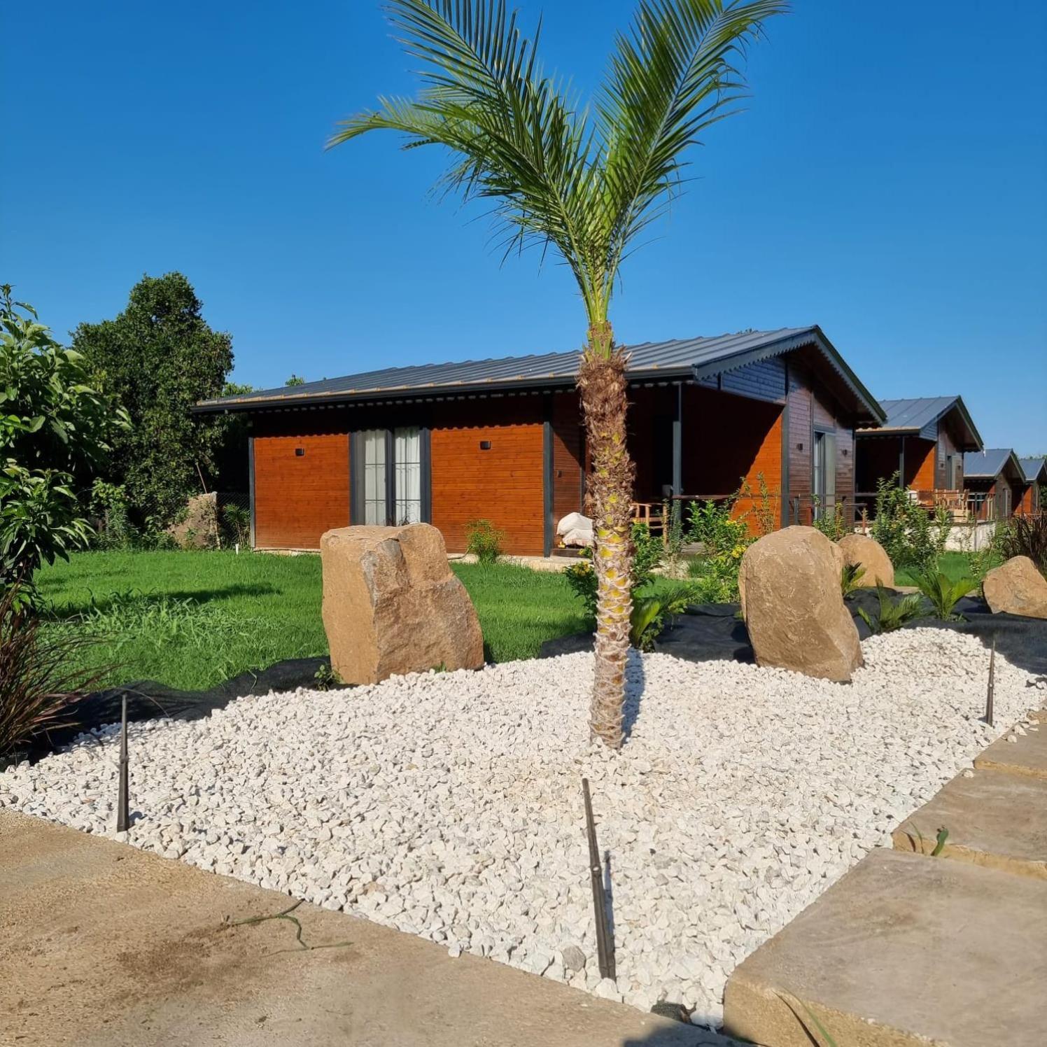 Cirali Simge Holiday Houses 外观 照片