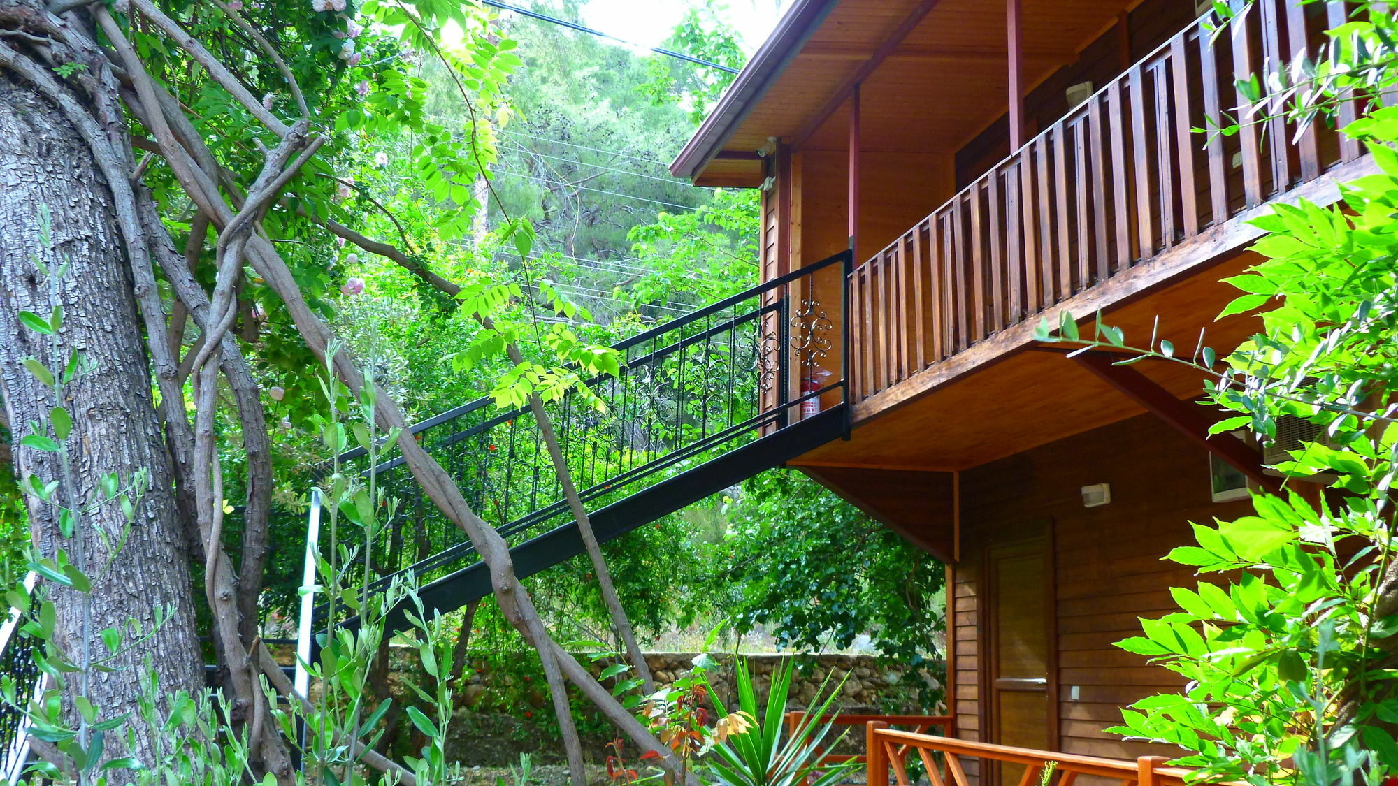 Cirali Simge Holiday Houses 外观 照片