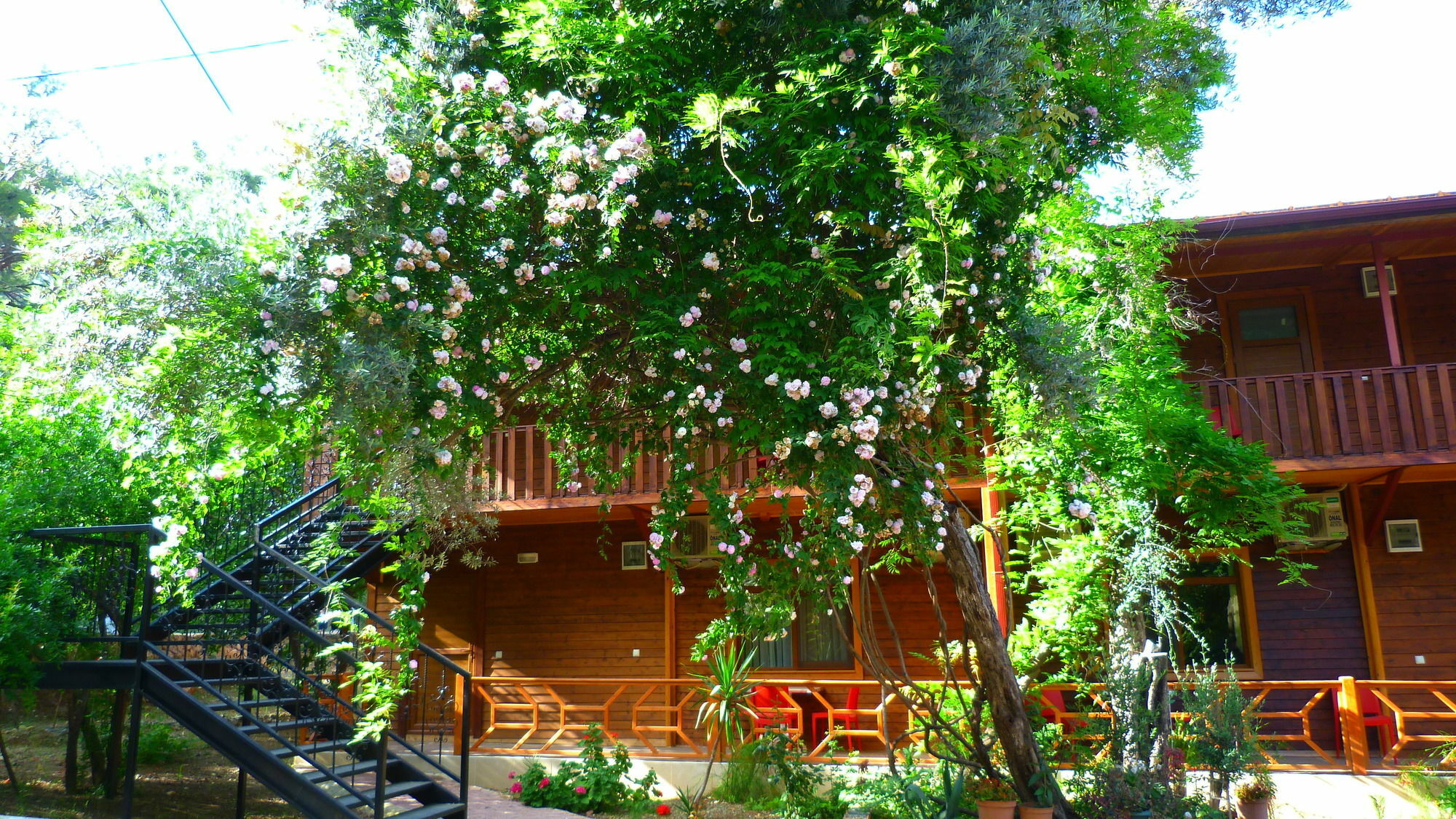 Cirali Simge Holiday Houses 外观 照片